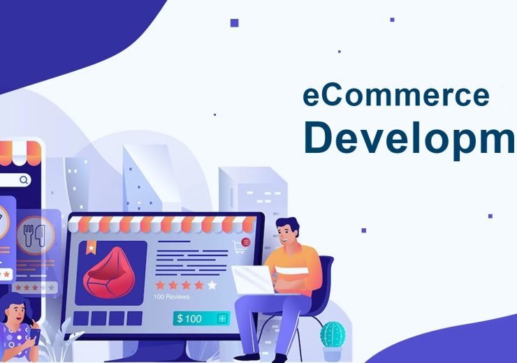 vserve | Ultimate Guide to Custom Ecommerce Development in 2025