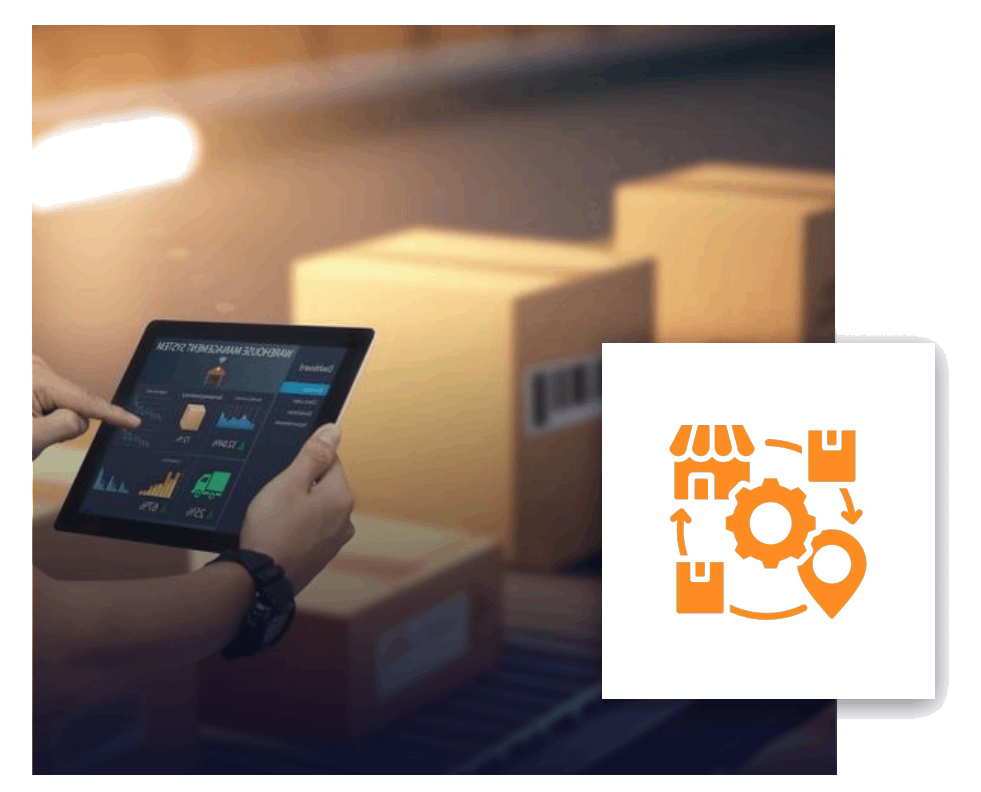 New Project (2) New Project (2)