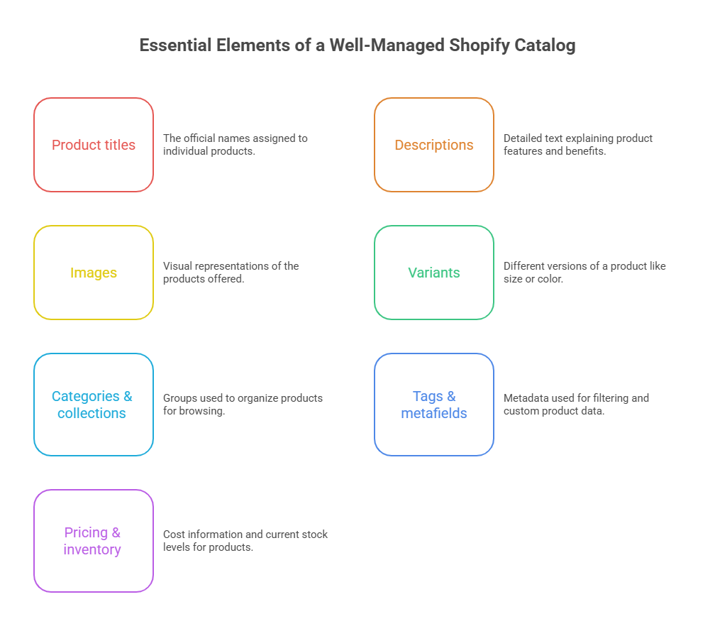 Essential Elements of a Well-Managed Shopify Catalog