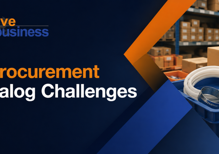 vserve | E-Procurement Catalog Challenges: Common Problems, Causes & Solutions