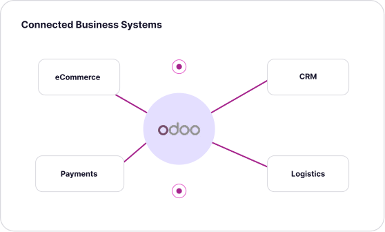 Connected Business Systems